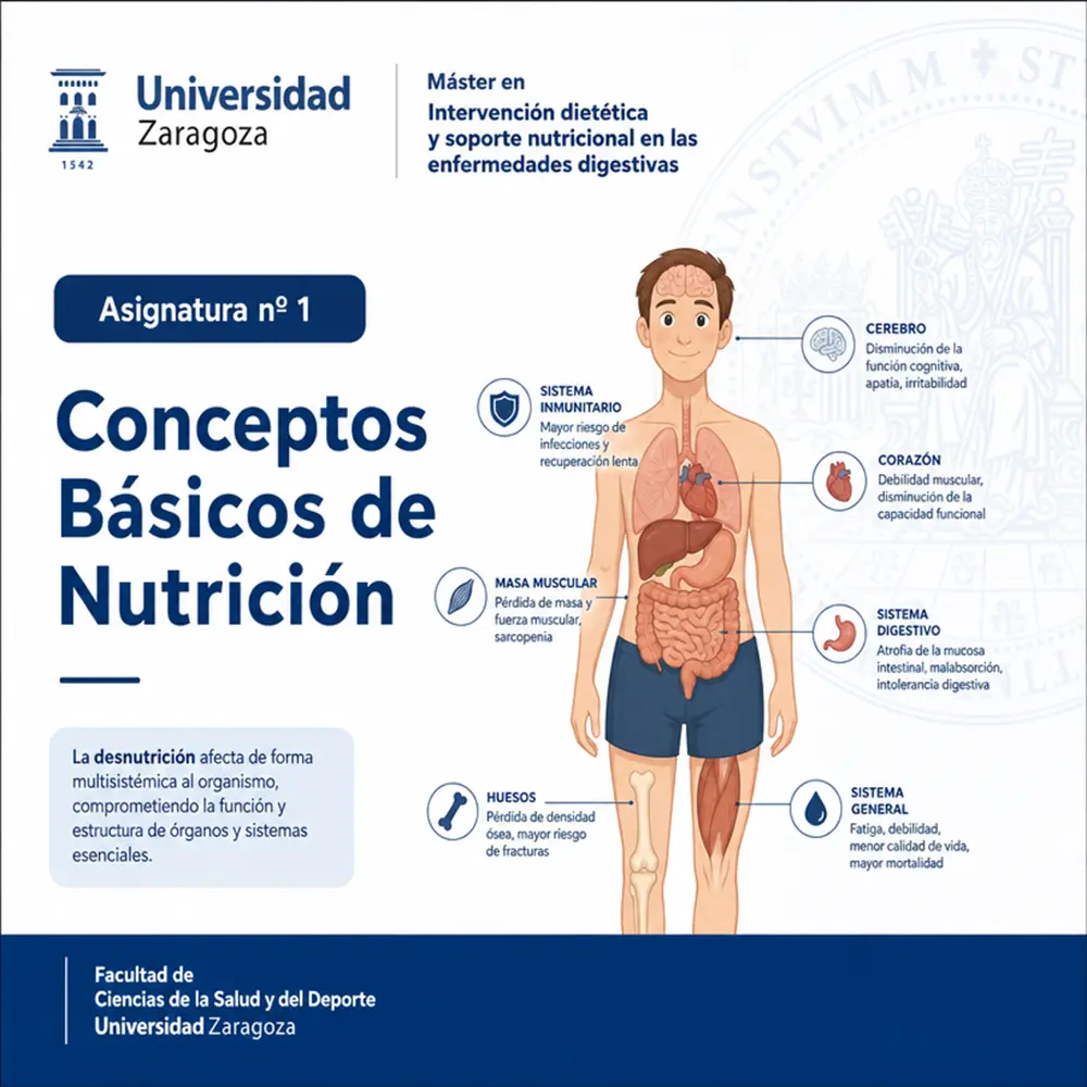 Fig 3. Portada para la asignatura nº 1