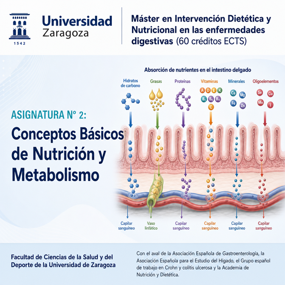 Fig 4. Portada para la asignatura nº 2