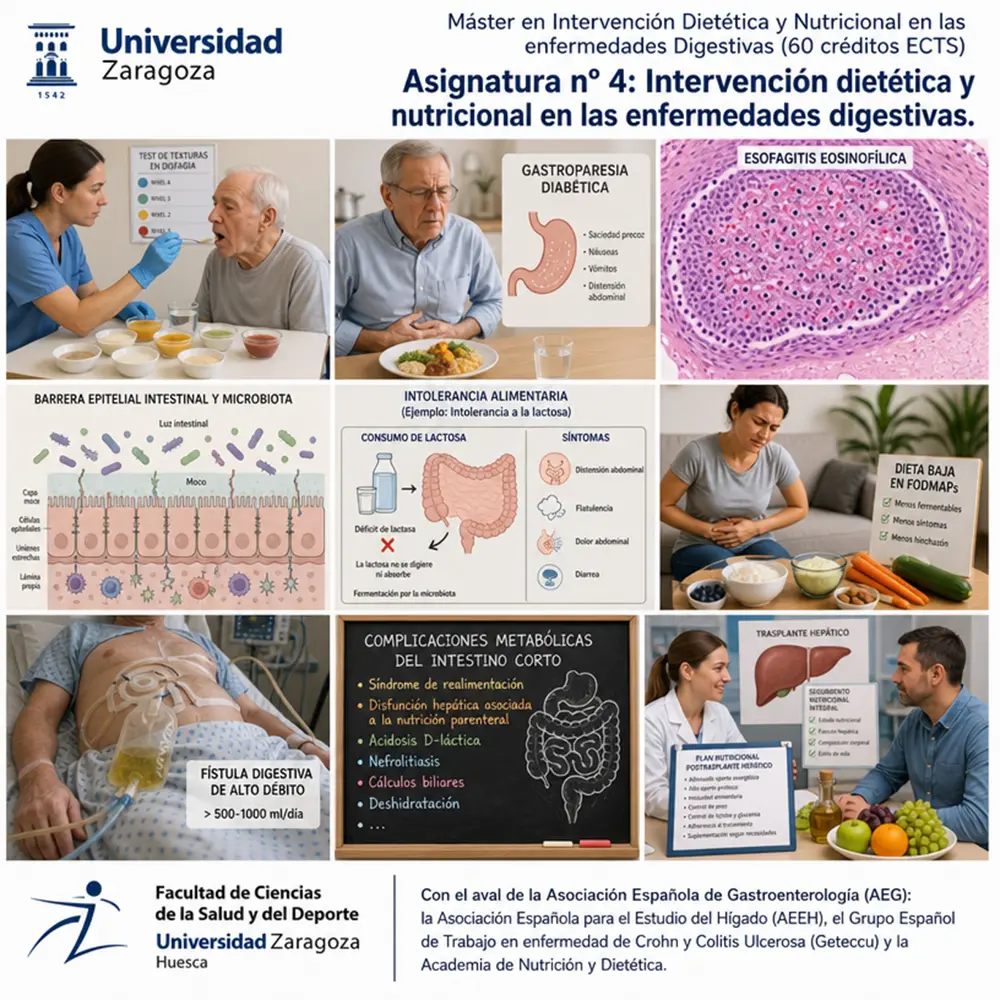 Fig 6. Portada de la asignatura nº 4